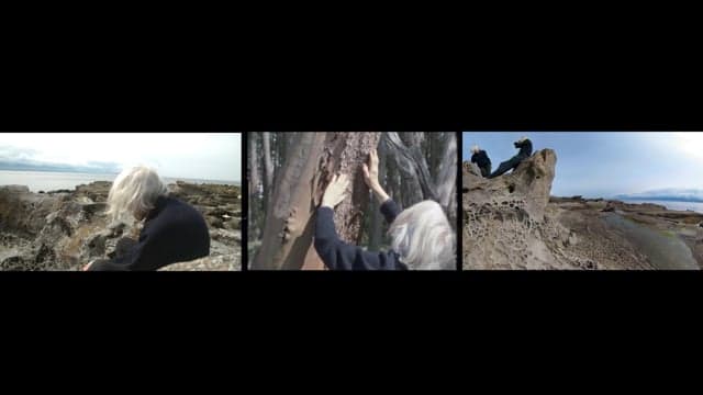 Plus The Co, Minus Helen Goodwin, Triptych
